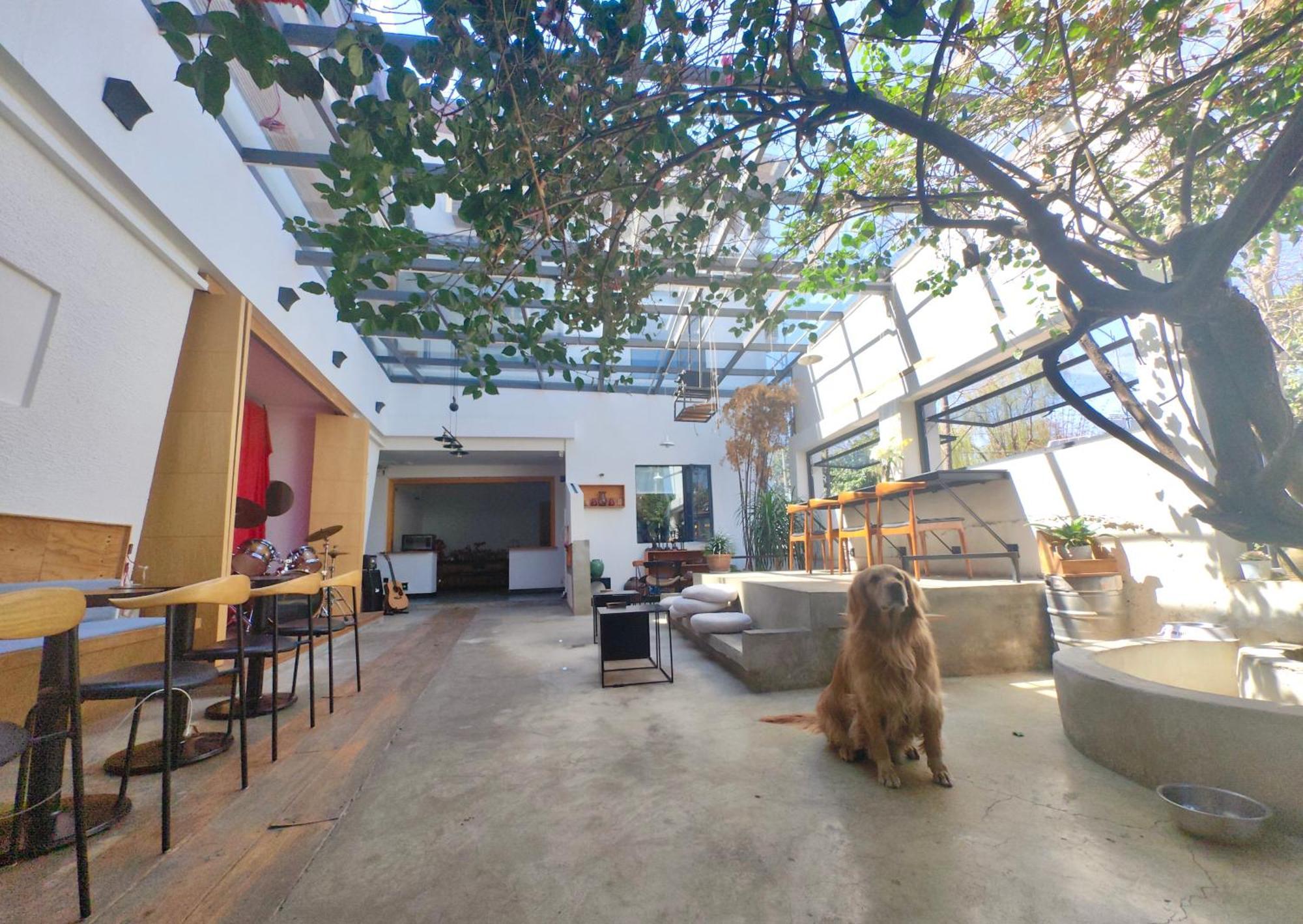 Dali Loft Travelling With Hostel Dış mekan fotoğraf